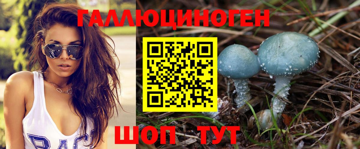 Полевской  Галлюциногенные грибы прущие грибы  Вход с VPN 